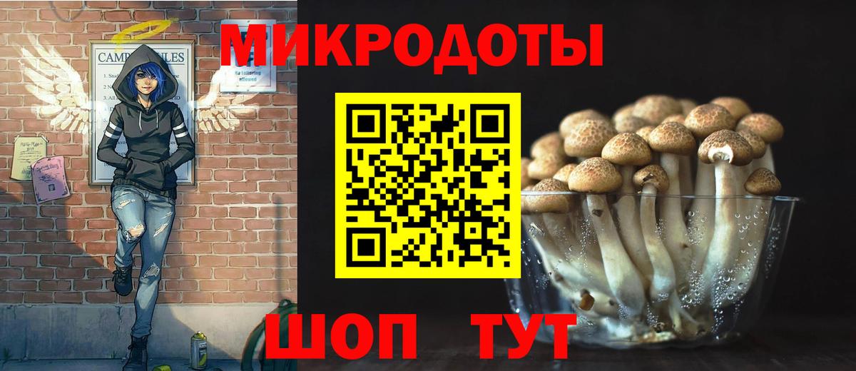 Псилоцибиновые грибы мухоморы Чита